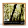 Black Maria CD – Chasing Edison – Pop – Édition limitée-1
