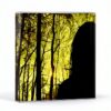Black Maria CD – Chasing Edison – Pop – Édition limitée-0