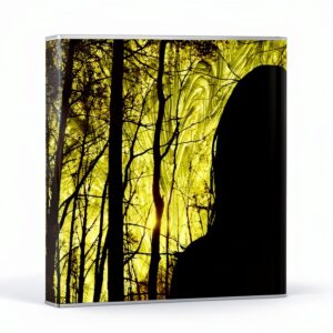 Black Maria CD – Chasing Edison – Pop – Édition limitée-0
